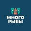 Много рыбы
